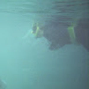 Meet your Posher, Talya